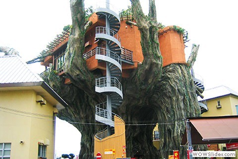 Okinawa tree house