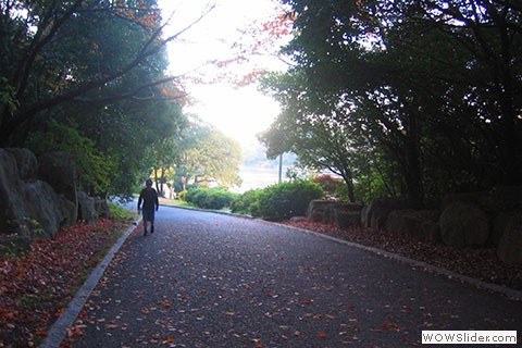 runner in shady running path