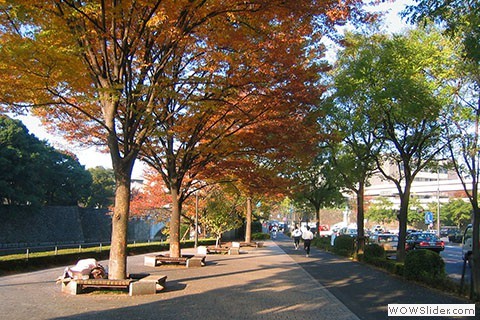 tokyo around imperial palace