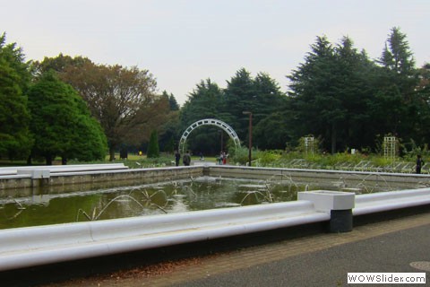 Pond with small fountains in Yoyogi Park